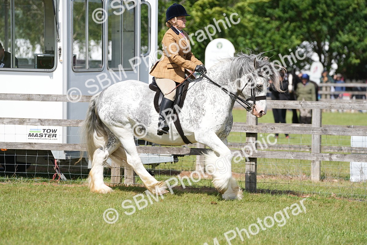 SBM_17125 - Class 107-108 - LIHS BSPS Performance Coloured Horse Pony