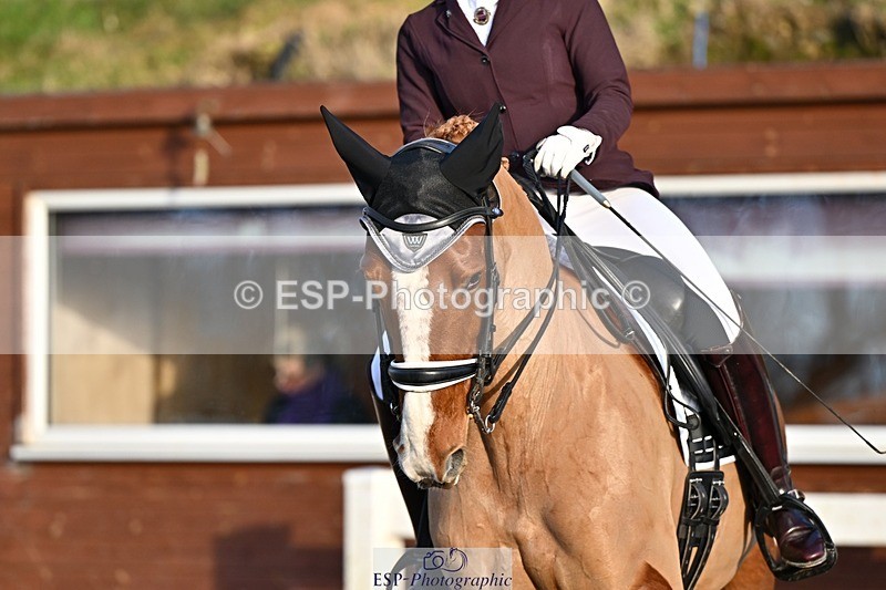 241214-142445-02834 - 112-kelly.jewell-Avalon