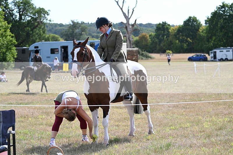 WJ7_2654 - Class 8 Ridden Tack & Turnout