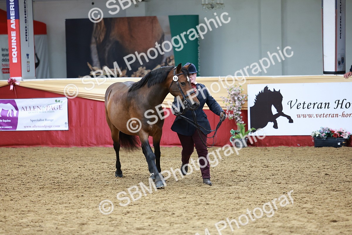 SBM_17349 - Class 951 - M&M IH Supreme Final