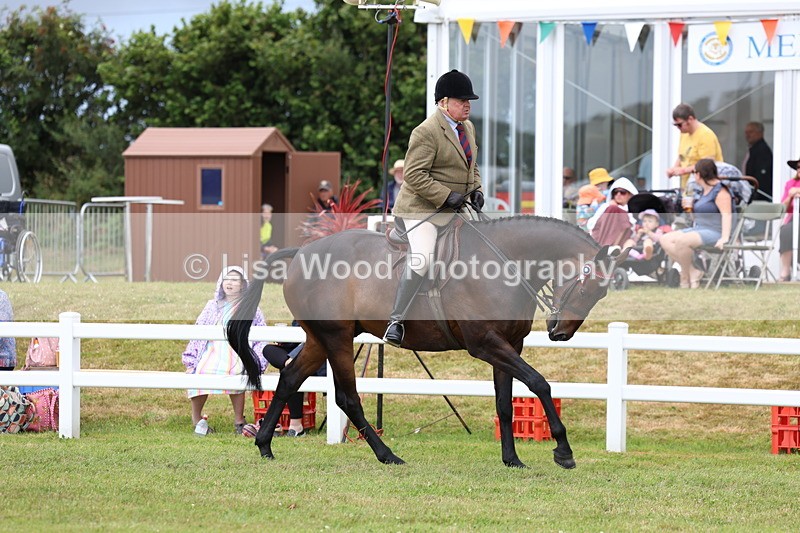 3E7A0928 - Class 8: Open Riding Horse/Hack