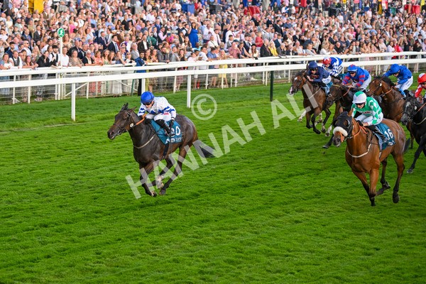 260724-Race 4-Dicko The Legend-5229 - Race 4 7.15pm Tomahawk Restaurants Handicap