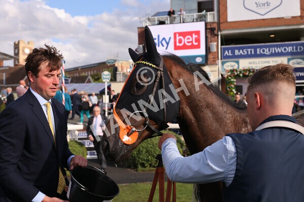 yr19082022r7-68 - Race 7 5.20pm Sky Bet Mile Stakes