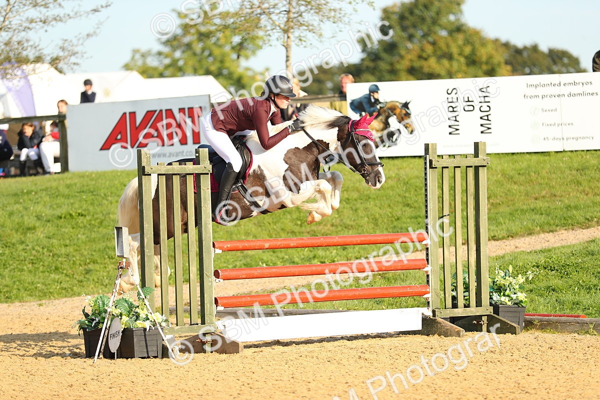 SBM_60171 - J41 - Grand Tour 95cm Championship
