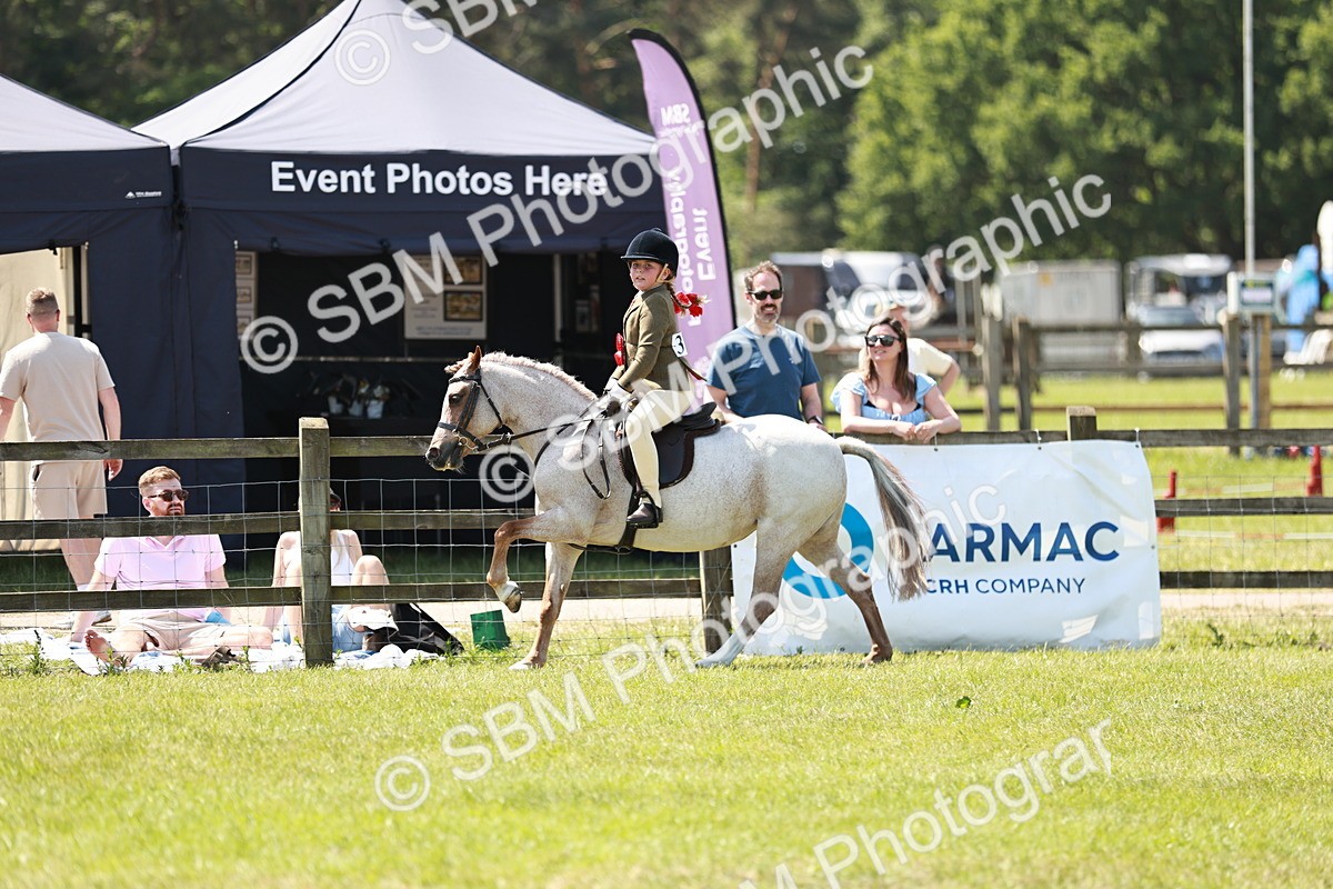 SBM_15790 - Class 108-109 - BSPS LIHS Open Gradle & Nursery Stakes