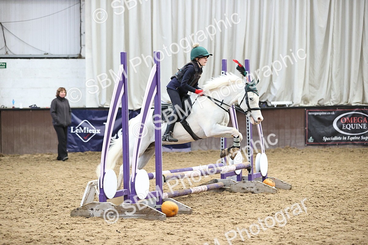 SBM_001251 - Class 3 - Horse & Hound 60cm