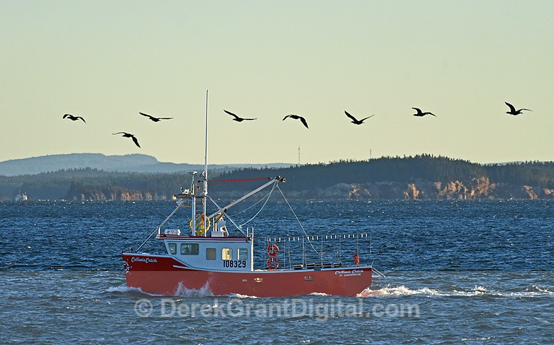 Callum's Catch Passamaquoddy Bay New Brunswick Canada - Boats