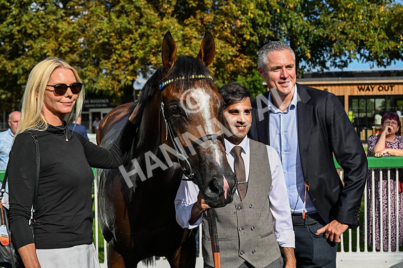 140926-Race 3-Majestic Jude-3057 - Race 3 3.21pm British Stallion Studs EBF Novice Stakes