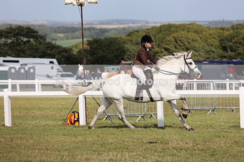 JPP_2929 - Class 20: Working Hunter 70cm