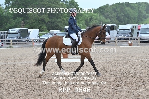 BPP_9646 - NO COMPETITOR NUMBER X 2