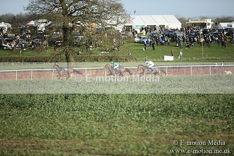 PtP 230319 493 - VWH Hunt Siddington Point-to-Point Racing 23/03/19