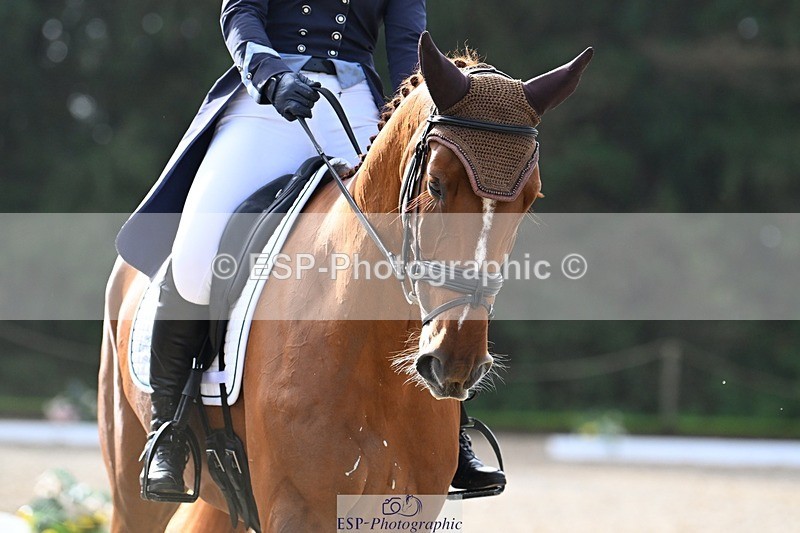 231019-121414-02696 - 043-OTTENTIK.NOBILITY-Dani.Evans-DR