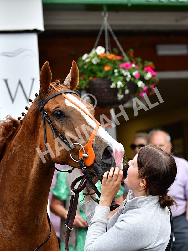 170625-Race 7-American Bay-4401 - Race 7