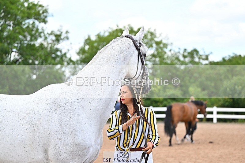 240718A-105325-01976 - Trot Up 2pm to 3pm - This folder is not in time order