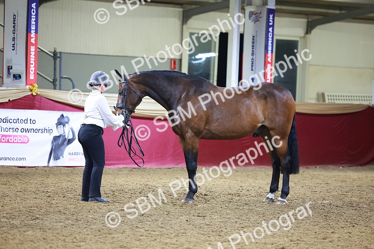 SBM_15550 - Class R - Veteran Champ