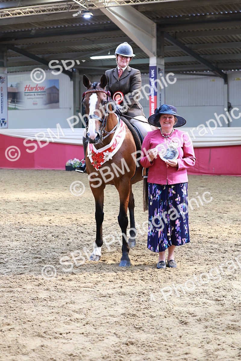 SBM_14980 - Class 108 - Ridden Retired Racehorse