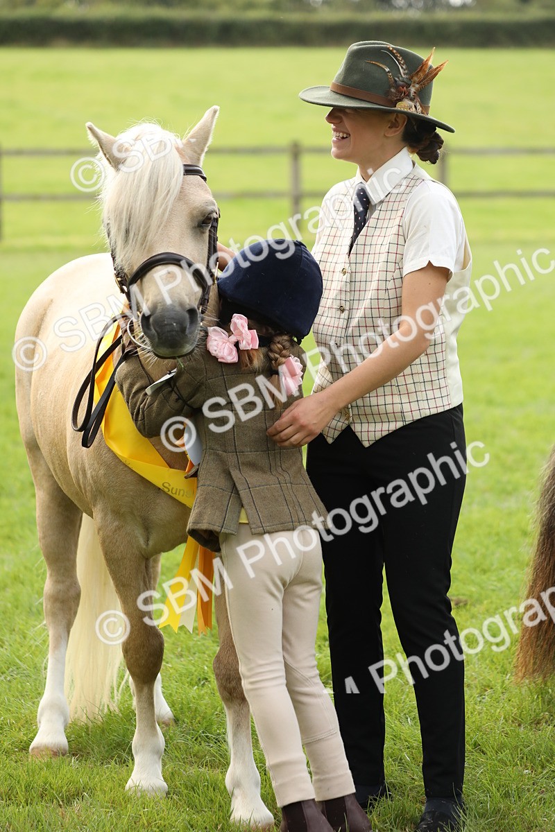 SBM_62844 - S46 - Mountain & Moorland In Hand Small Breeds
