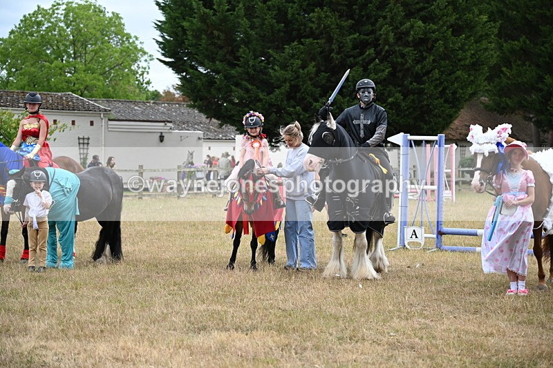 WJ6_9253 - Class 11 Fancy Dress