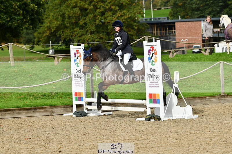 251004A-110102-00501 - Classes 4 & 5 50cm