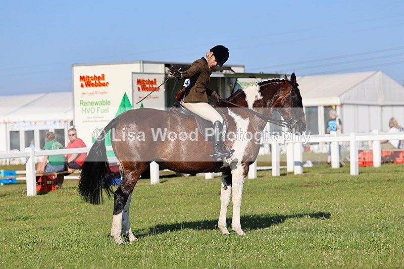IMG_1286 - Class 27: Ridden Plaited Coloured Horse