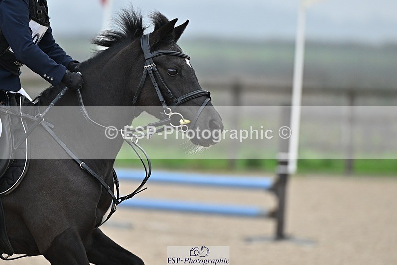 241110-101102-00206 - 40cm Showjumping