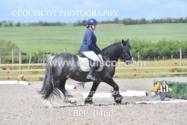 BPP_0460 - MFS NOVICE
