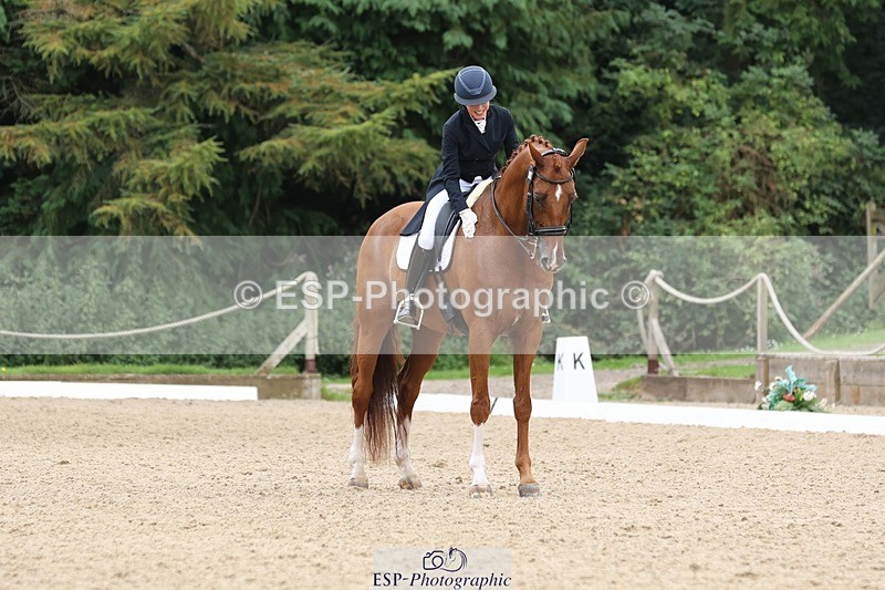 240810-133603-03356 - 188-Amanda.Towle.Shaw-Rockwood.Virtue