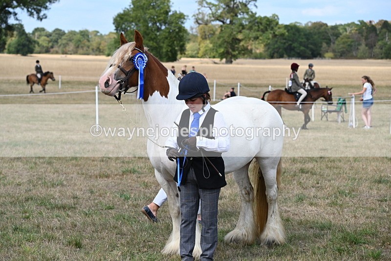 WJ6_6705 - Class 20 In-hand Cob