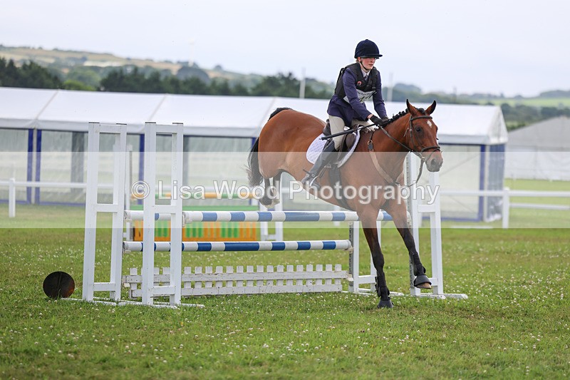 3E7A7312 - Class 7: PC90cm Regional Championship Qualifier Rnd 2 (B)