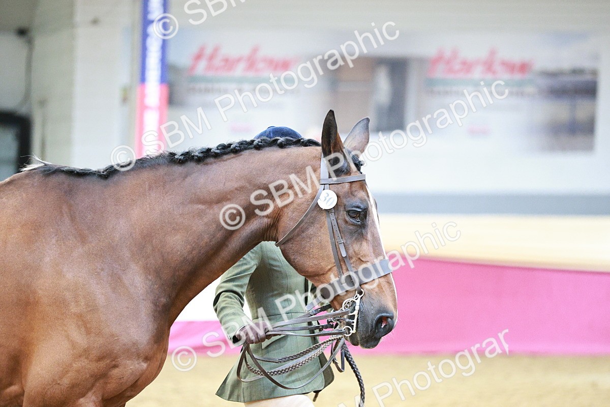 SBM_04831 - Class 7R - Regional IH Diamond