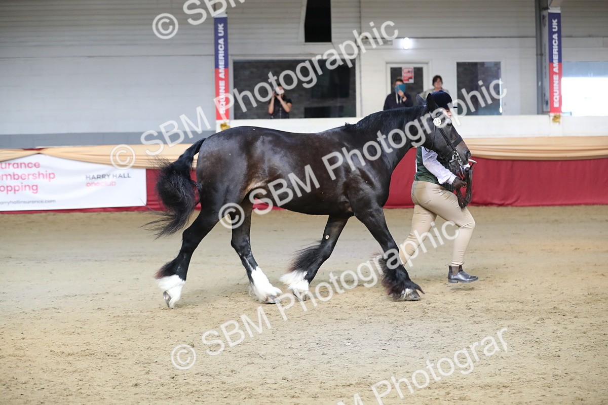 SBM_00561 - class 2a Area IH Veteran