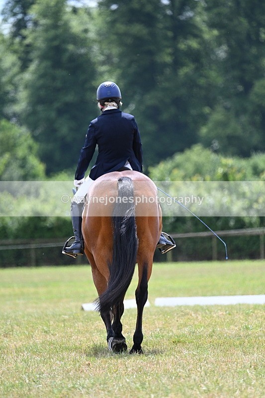 WJ7_5570 - Time 11:52 to 12:10