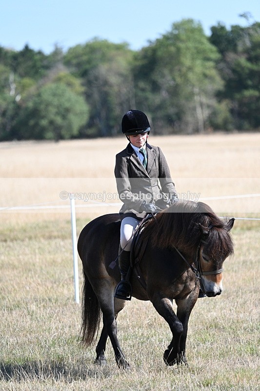 WJ7_3093 - Class 8 Ridden Tack & Turnout