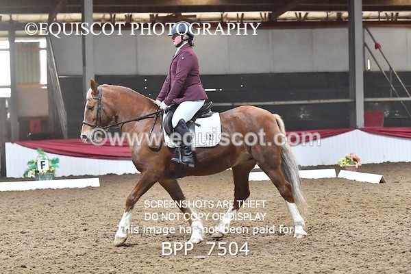 BPP_7504 - INTRO TEST 2