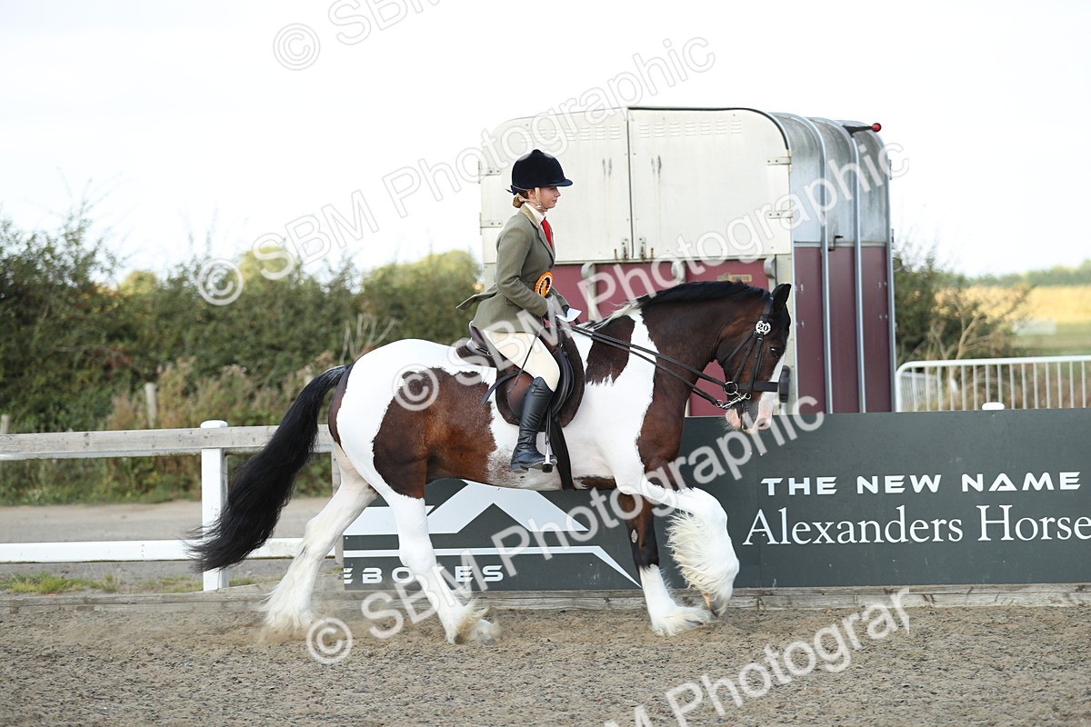 SBM_07030 - Class 49b Style & Performance 80cm (20+)