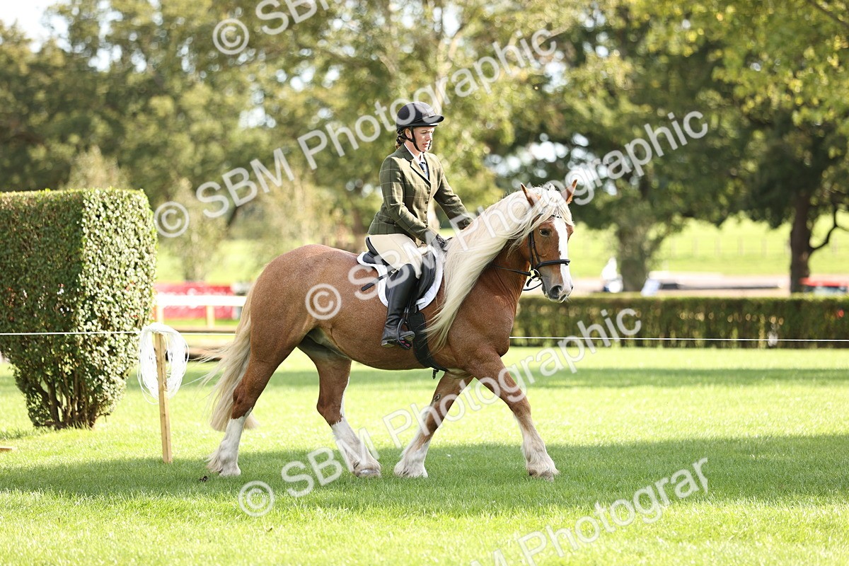 SBM_26355 - S6 - Novice & Newcomers Ridden Horse