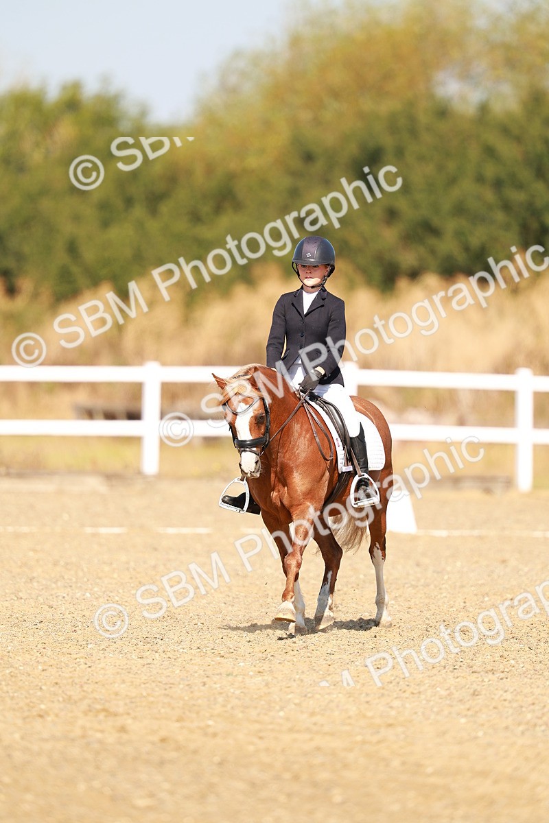 SBM_017593 - Class 9 - N5 Bronze 10.33.11.36