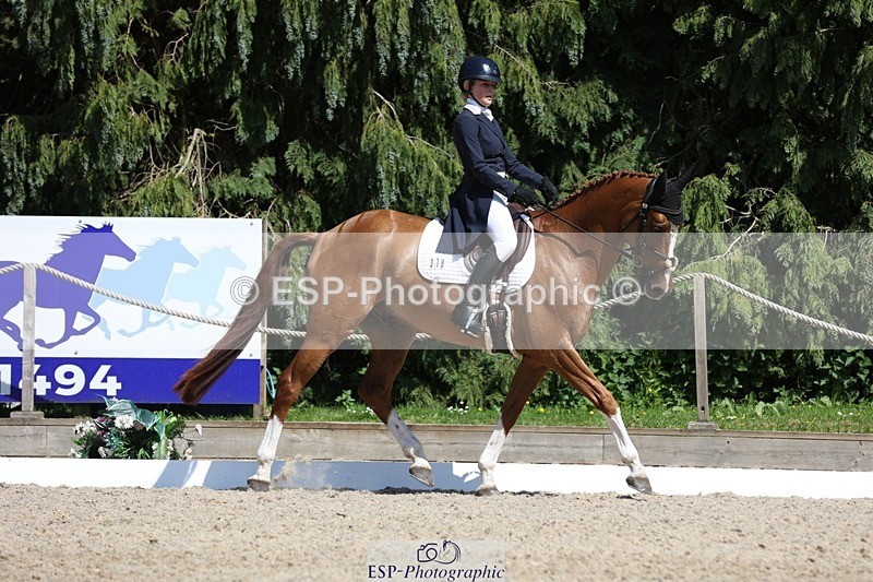 230526-150843-06641 - 378-CLASS_SPEC-Susie_Eddis-WEDTrotUp+DR