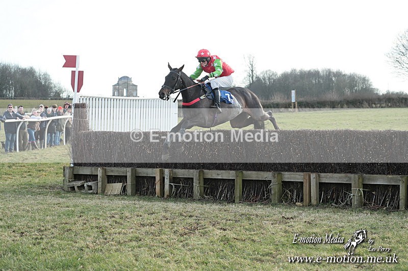 PtP 010325 628 - Beaufort Races Didmarton 01/03/25