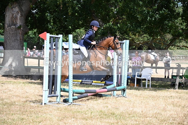 WJ6_5399 - Class 12 Minimus Jumping 45cm