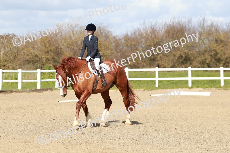 20260314-2918 - DR3 - Prelim 1