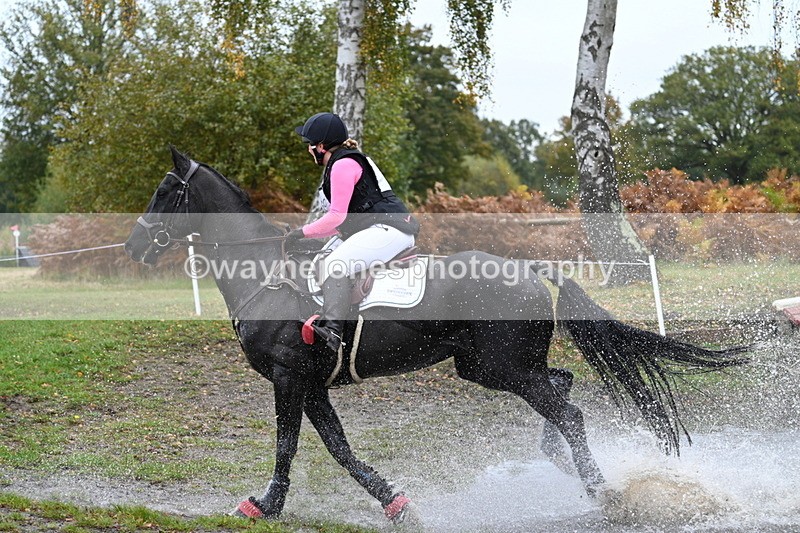 WJ7_2086 - 80cm Cam 2 Pairs Time 12:18 to 12:43