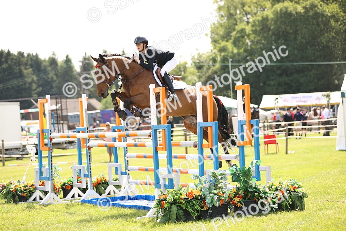 SBM_03123 - Class 201 - British Horse Feedds Speedi Beet HOYS Grade C