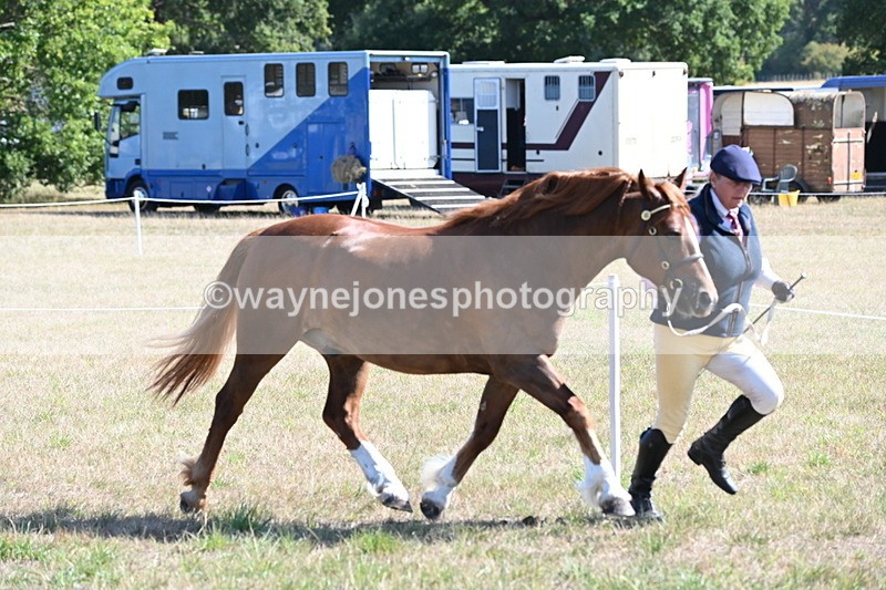 WJ6_4578 - Class 17 Mountain & Moorland