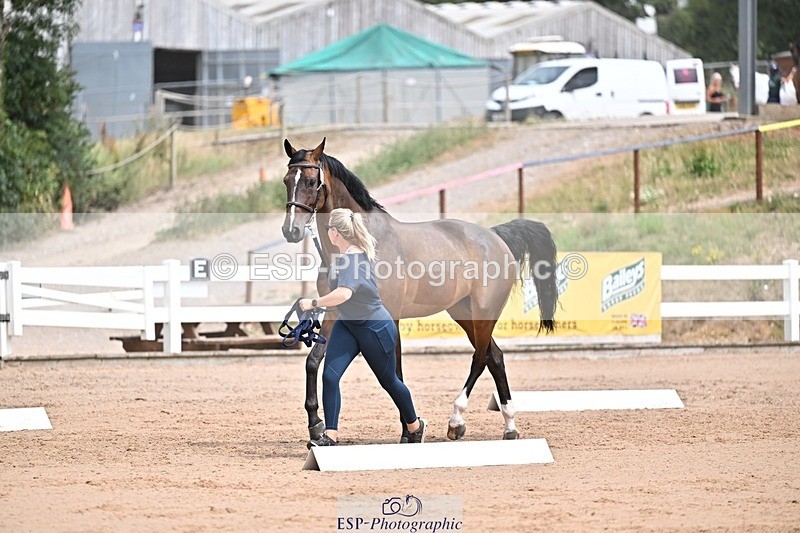 250716-132308-00474 - Trot Up 12.30 to 1.30