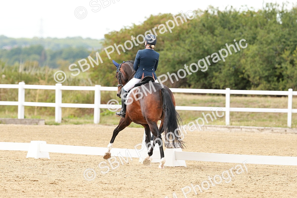 SBM_002174 - Class 11 - Medium 6