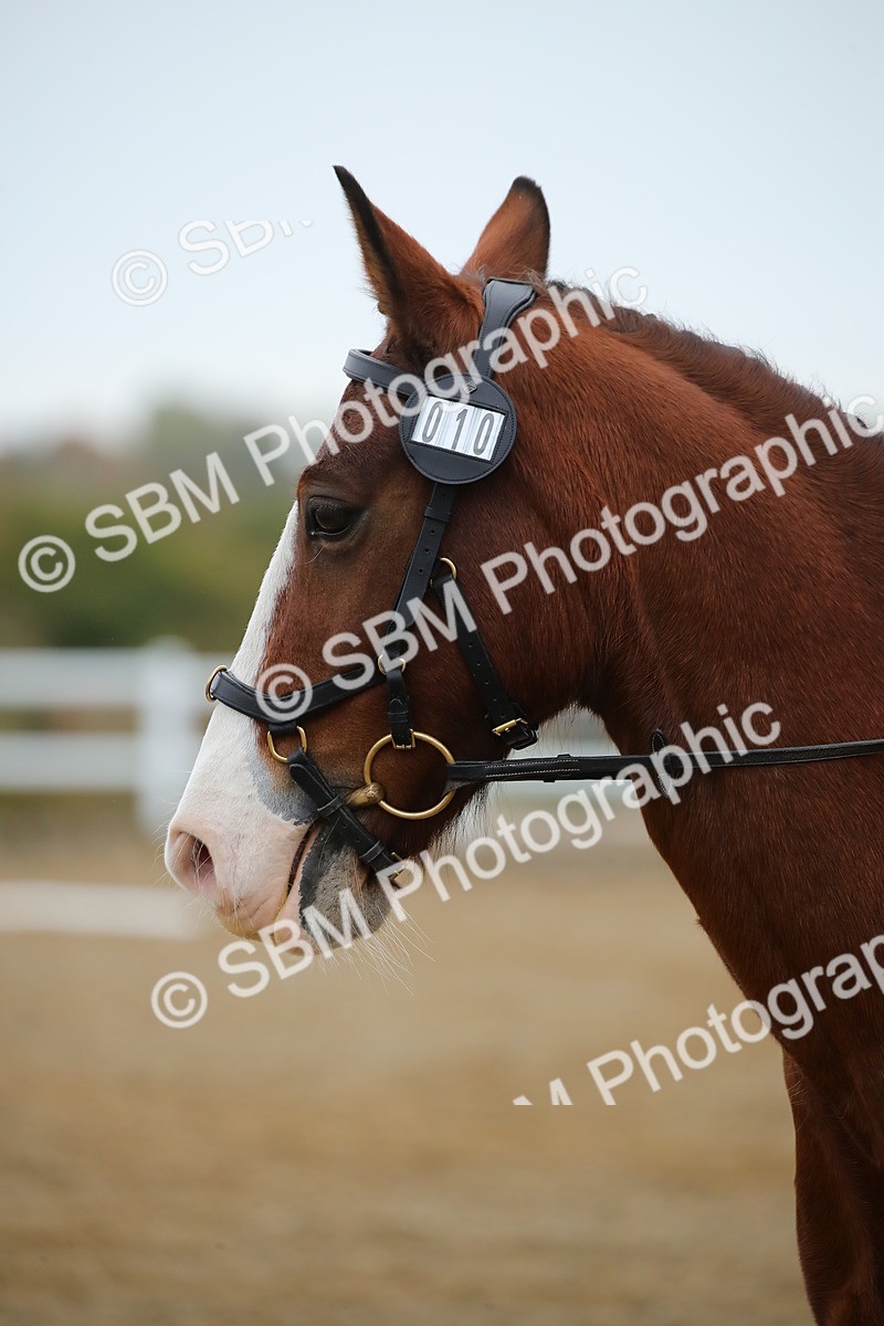 SBM_000312 - Intro 1