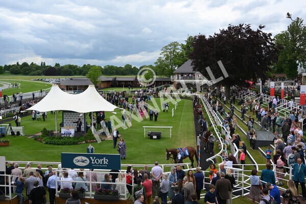 yr22052022r1-5 - Race 1: 3:30pm Sky Bet Sunday Series Apprentice Stakes