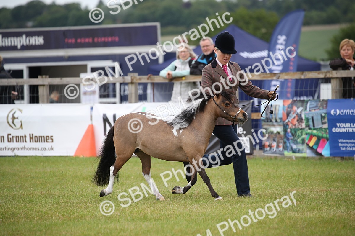 SBM_03905 - Class 23-25 - British Miniature Horse of the Year