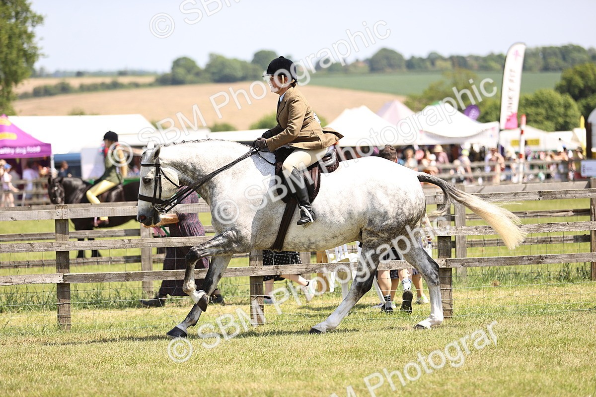 SBM_15123 - Class 79-80 - LIHS BSHA Rising Star Ridden Hunter